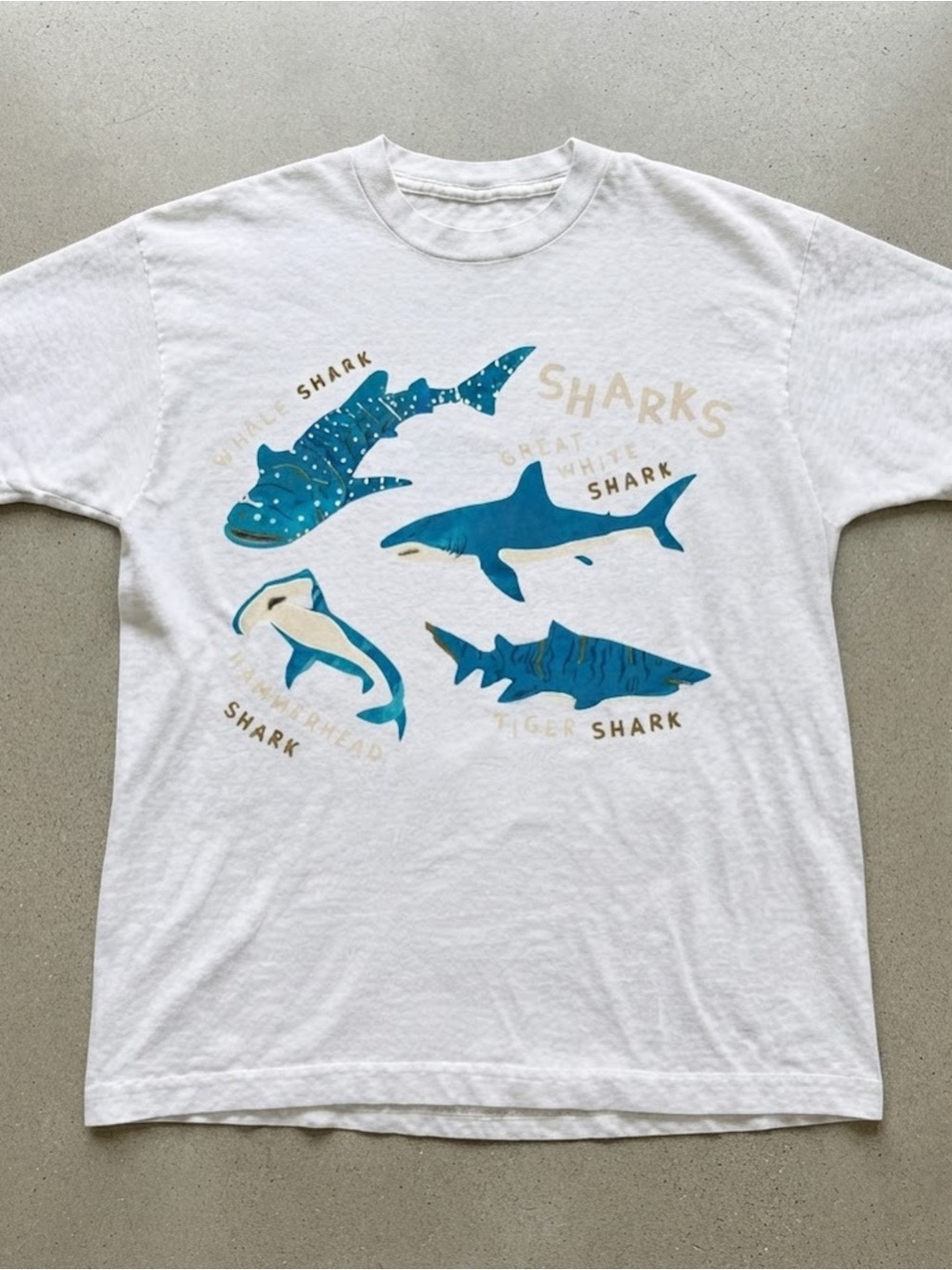 Sharks Species Graphic Print White Cotton Gildan T-Shirt